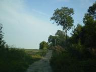 Загірне з panoramio.com