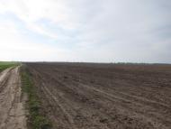 Яцьки з panoramio.com