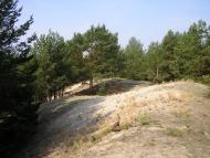 Слабин з panoramio.com