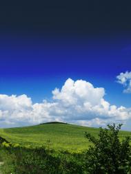 Видра з panoramio.com