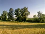 Мирони з panoramio.com