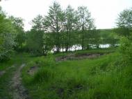 Лозувата з panoramio.com