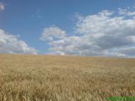Долинівка з panoramio.com