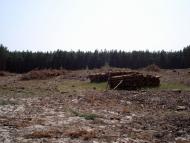 Стовп'яги з panoramio.com