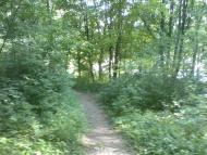 Блищанівка з panoramio.com