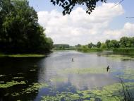 Пилиповичі з panoramio.com