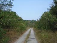 Осещина з panoramio.com