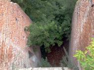 Араповичи з panoramio.com