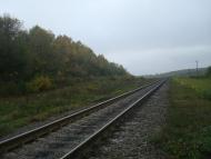 Буйволівці з panoramio.com