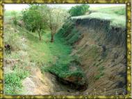 Бандурове з panoramio.com