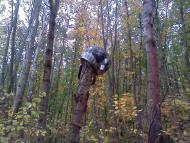 Руська Лозова з panoramio.com