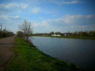 Наливайкове - Останні фото