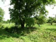 Гостинцеве з panoramio.com