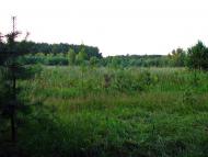 Лучківка з panoramio.com