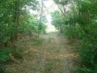 Привітне з panoramio.com