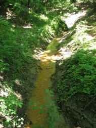 Підлісне з panoramio.com