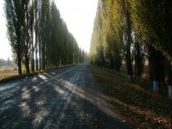 Середівка - Останні фото