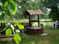 Дівички - Останні фото