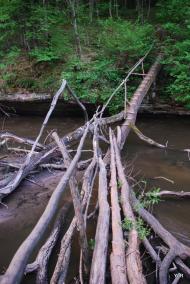 Язловець з panoramio.com