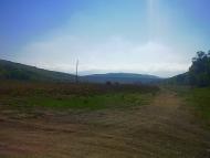 Синапне з panoramio.com