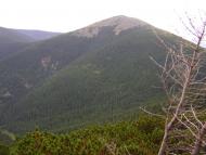 Гриньків - Останні фото