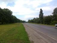 Леськи з panoramio.com