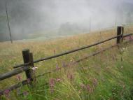 Черетів з panoramio.com