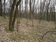 Яреськи з panoramio.com