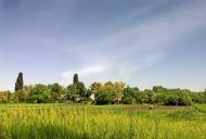 Мирони з panoramio.com