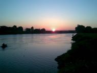 Лісконоги з panoramio.com