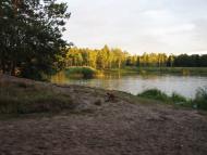 Стригани з panoramio.com