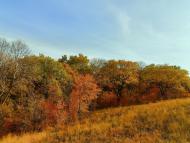 Shymshynivka - Latest photos