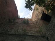 Араповичи з panoramio.com