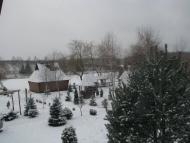 Бар з panoramio.com