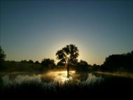 Шевченкове з panoramio.com