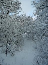 Сєверне з panoramio.com