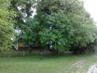 Свинарин з panoramio.com