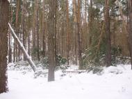 Пилиповичі з panoramio.com