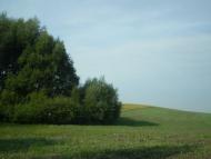 Загірне з panoramio.com