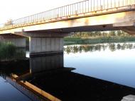 Комар - Останні фото