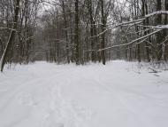 Заріг з panoramio.com