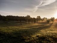 Ільниця з panoramio.com