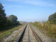 Лісоводи з panoramio.com