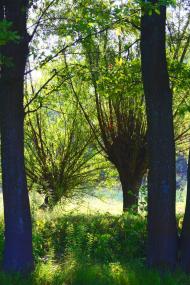 Піски з panoramio.com