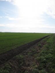 Яцьки з panoramio.com