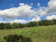 Малий Вистороп з panoramio.com