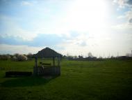 Наливайкове з panoramio.com