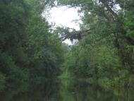 Бабайківка з panoramio.com