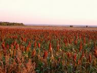 Довге з panoramio.com