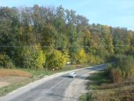 Лісоводи з panoramio.com